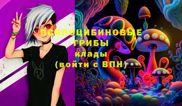 ALPHA PVP Алексеевка