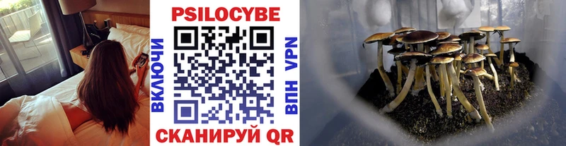Галлюциногенные грибы Psilocybine cubensis  Сычёвка 